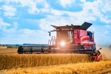 Grain harvesting combine in a sunny day